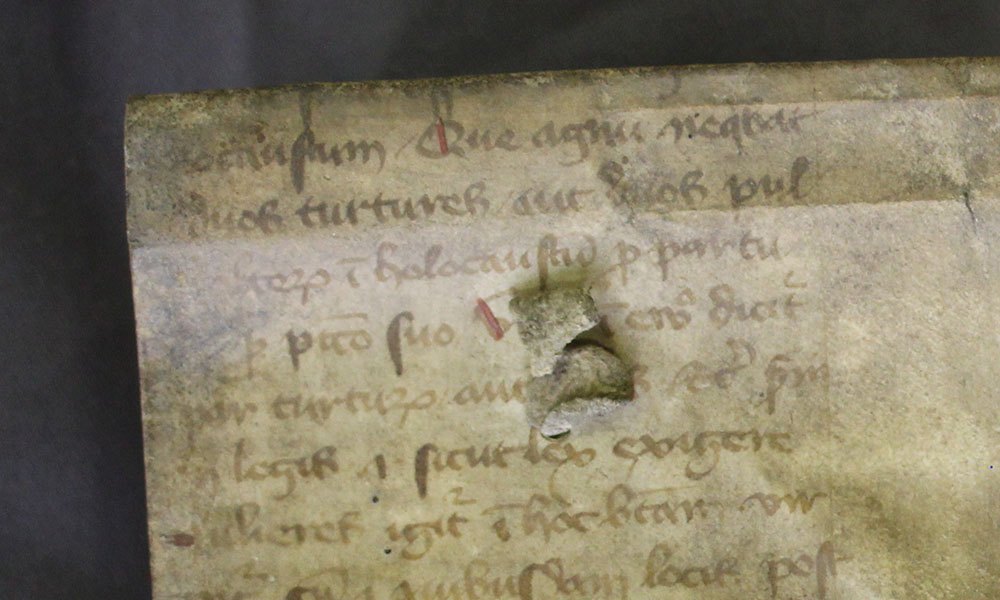 The script used in Bolton Library C.10.3, possibly from the 14th century script