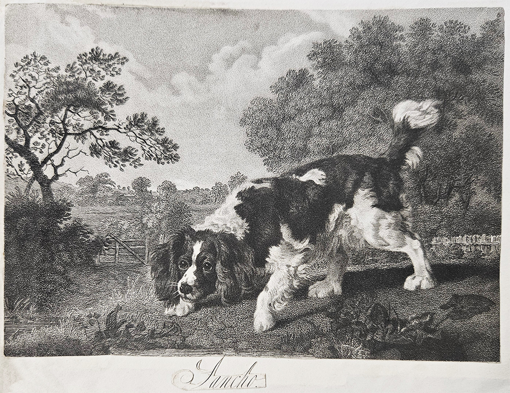 Black and white cut-out of an image on a white page